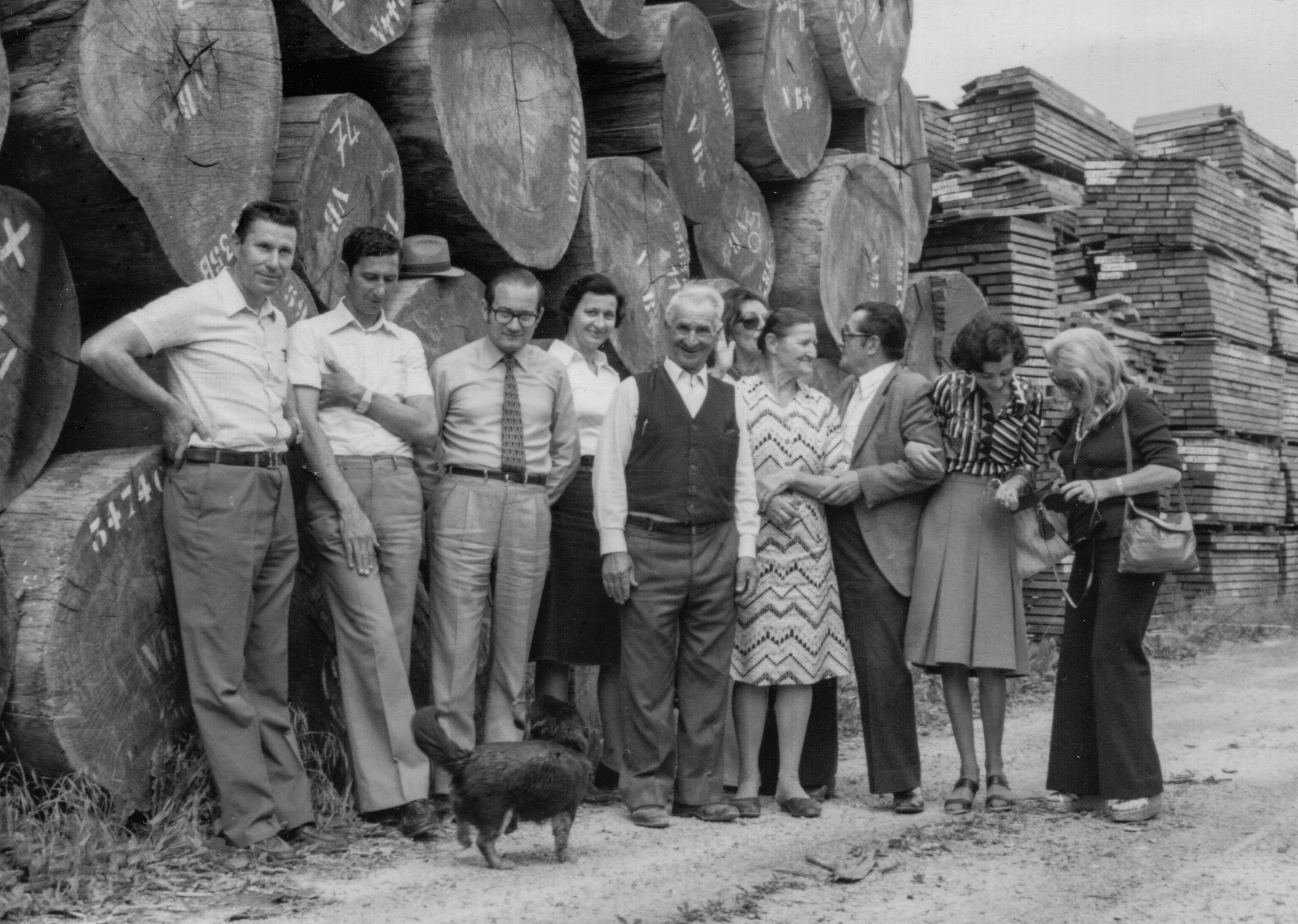 Foto Bianco e Nero Sild Legno 1960